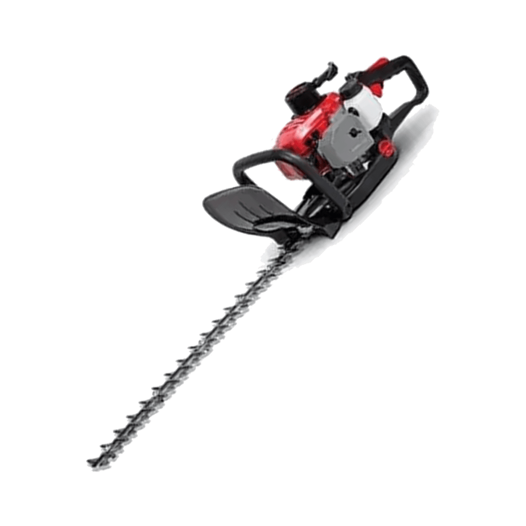 Coral Scissors